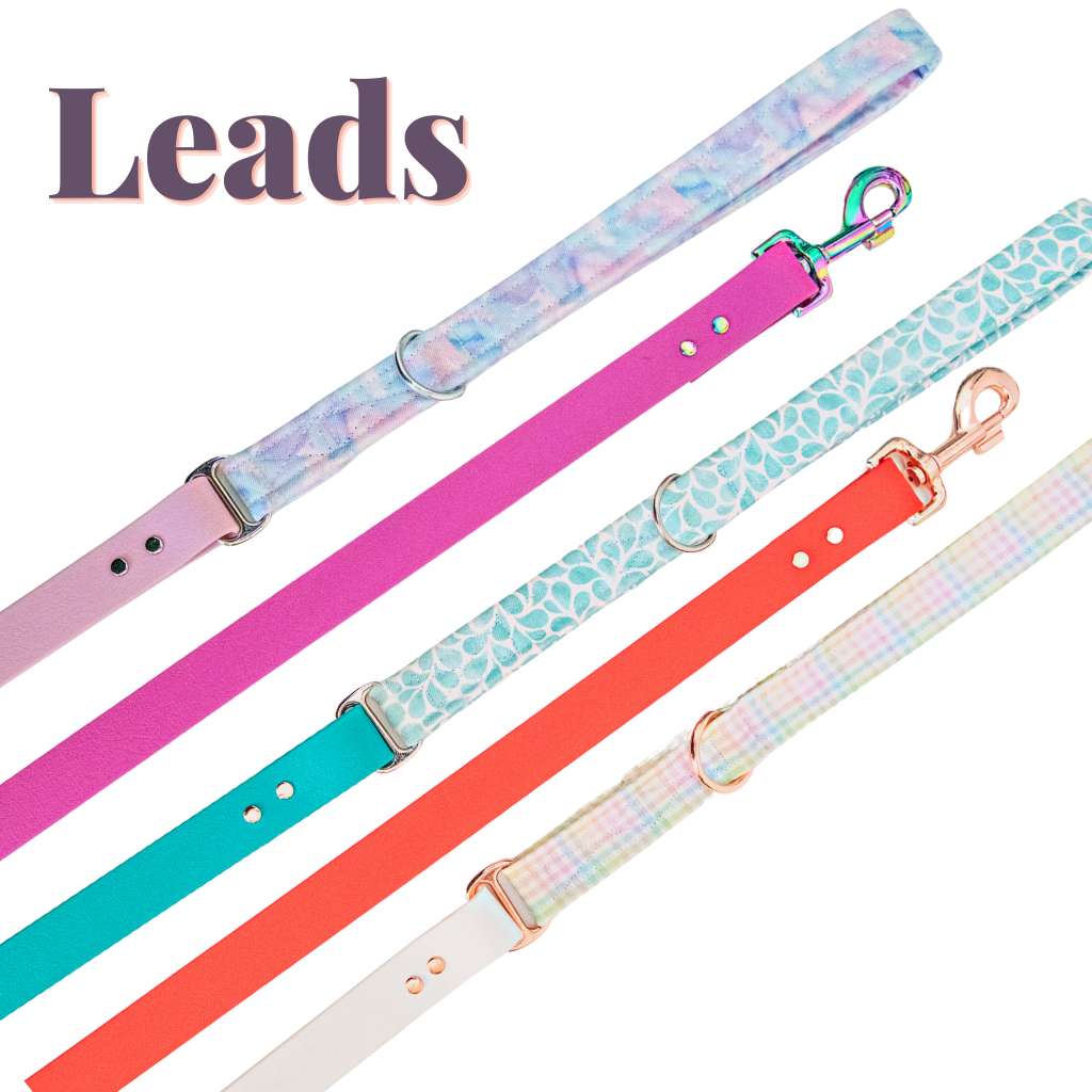 Leads