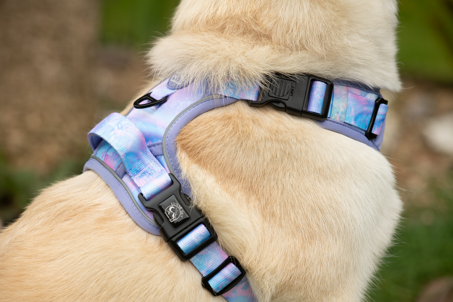 Active Adventure Harness - Marbled Galaxy