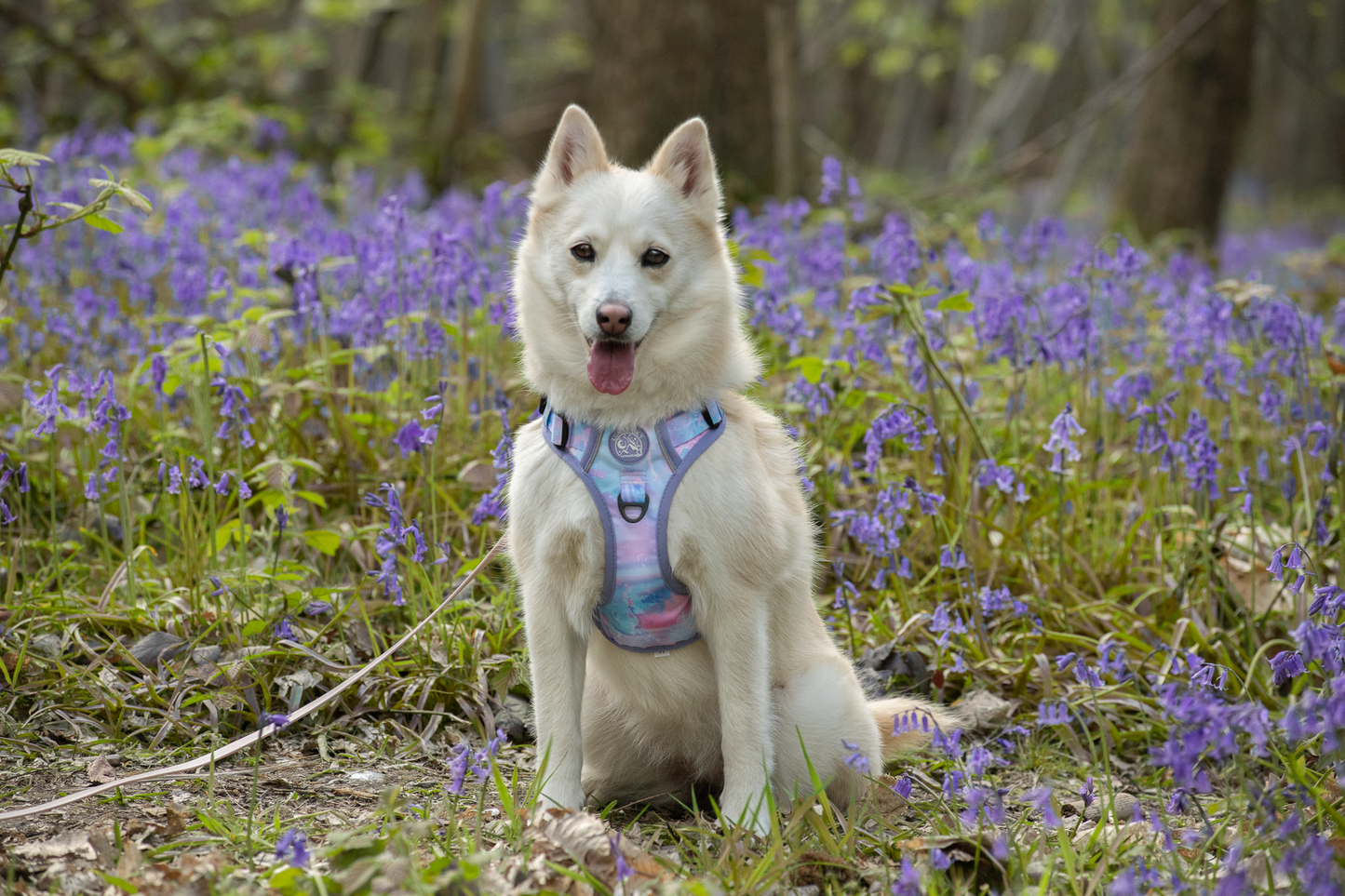 Active Adventure Harness - Marbled Galaxy