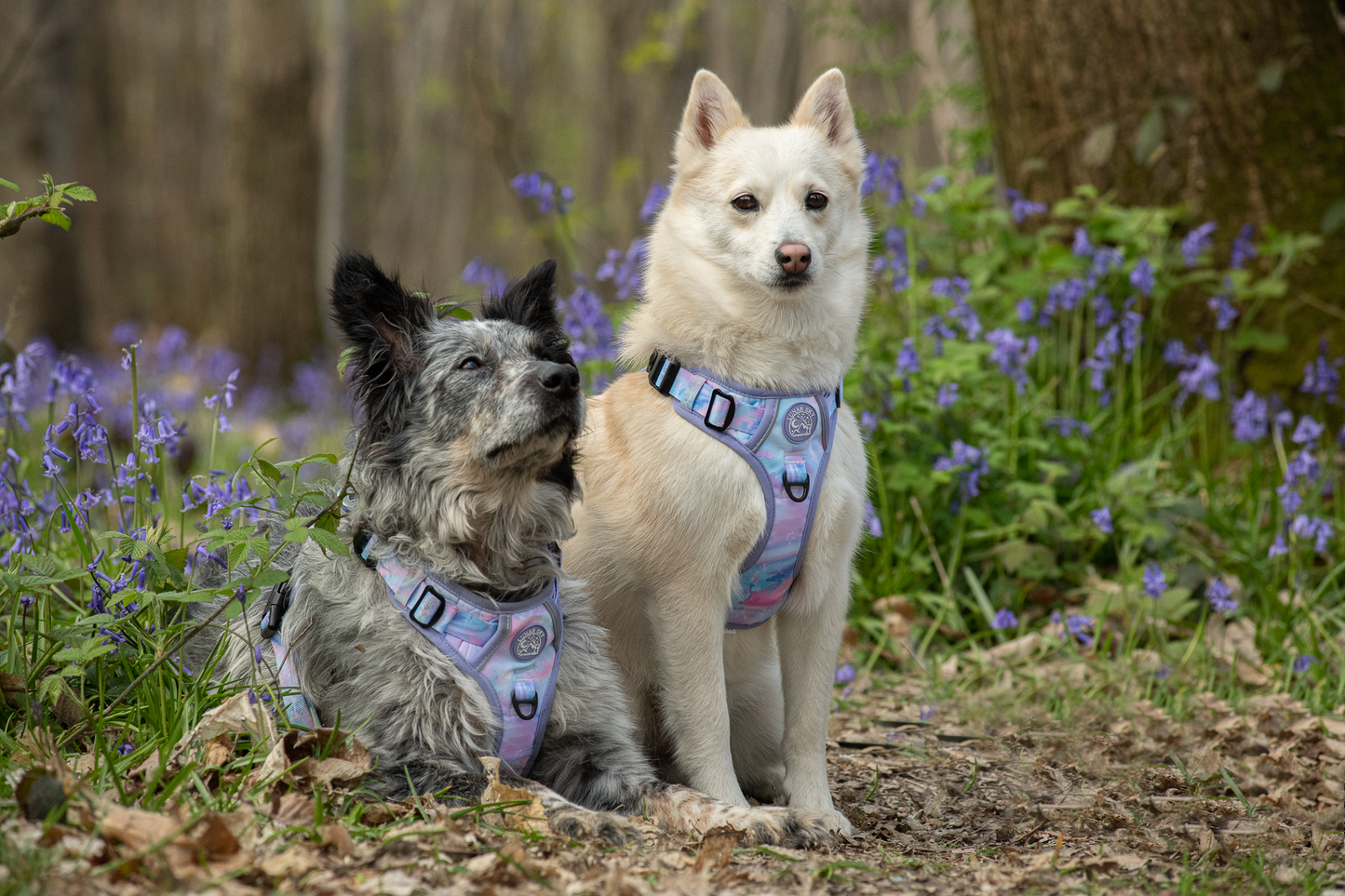 Active Adventure Harness - Marbled Galaxy