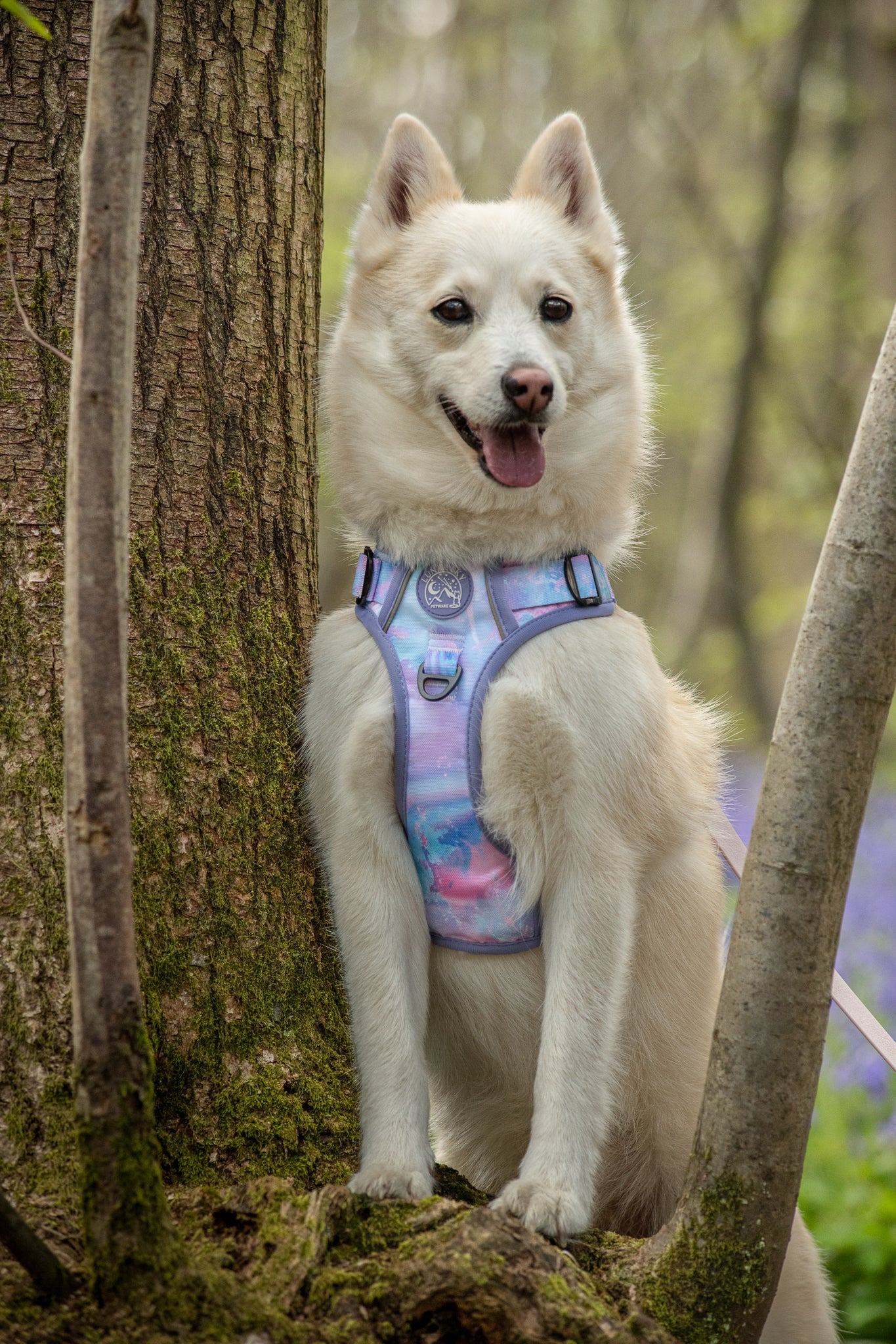 Active Adventure Harness - Marbled Galaxy