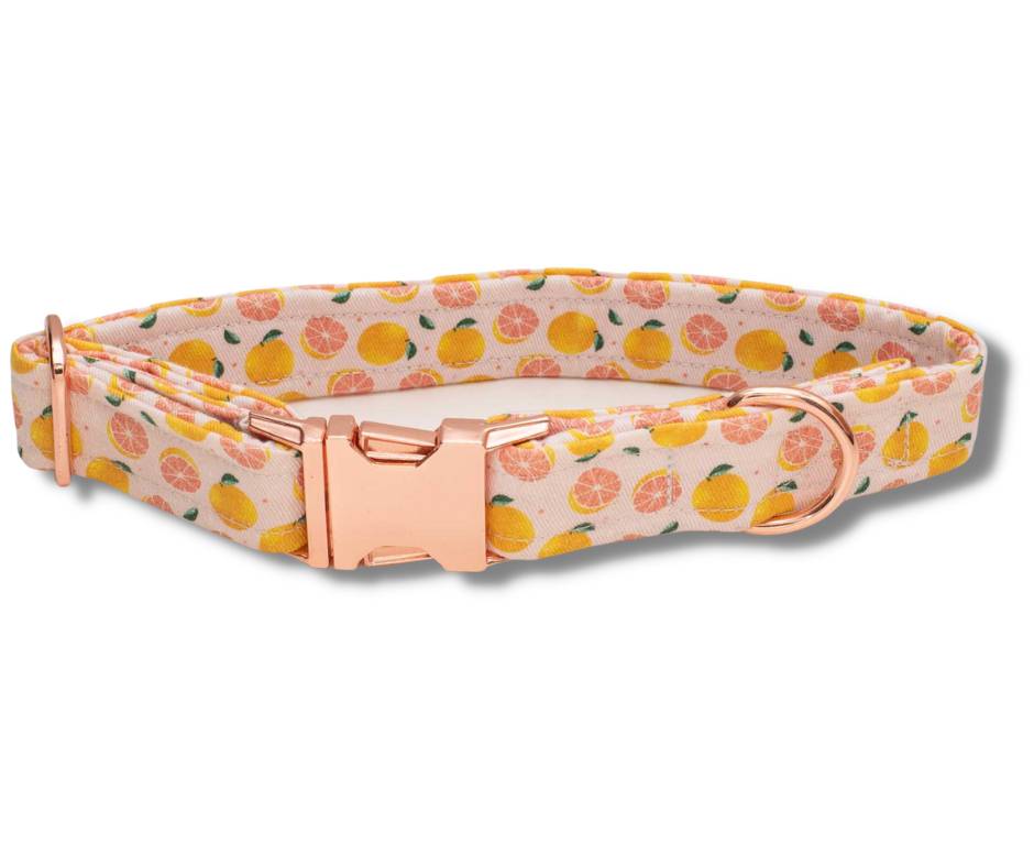 Collar - Peachy Grapefruit