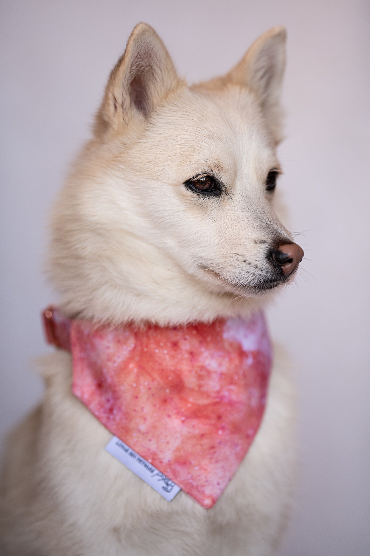 Bandana - Crimson Nebula