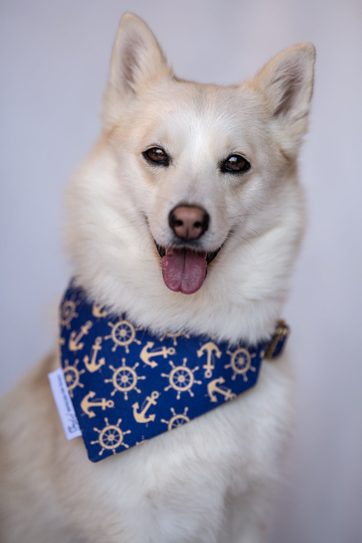 Bandana - Nautical