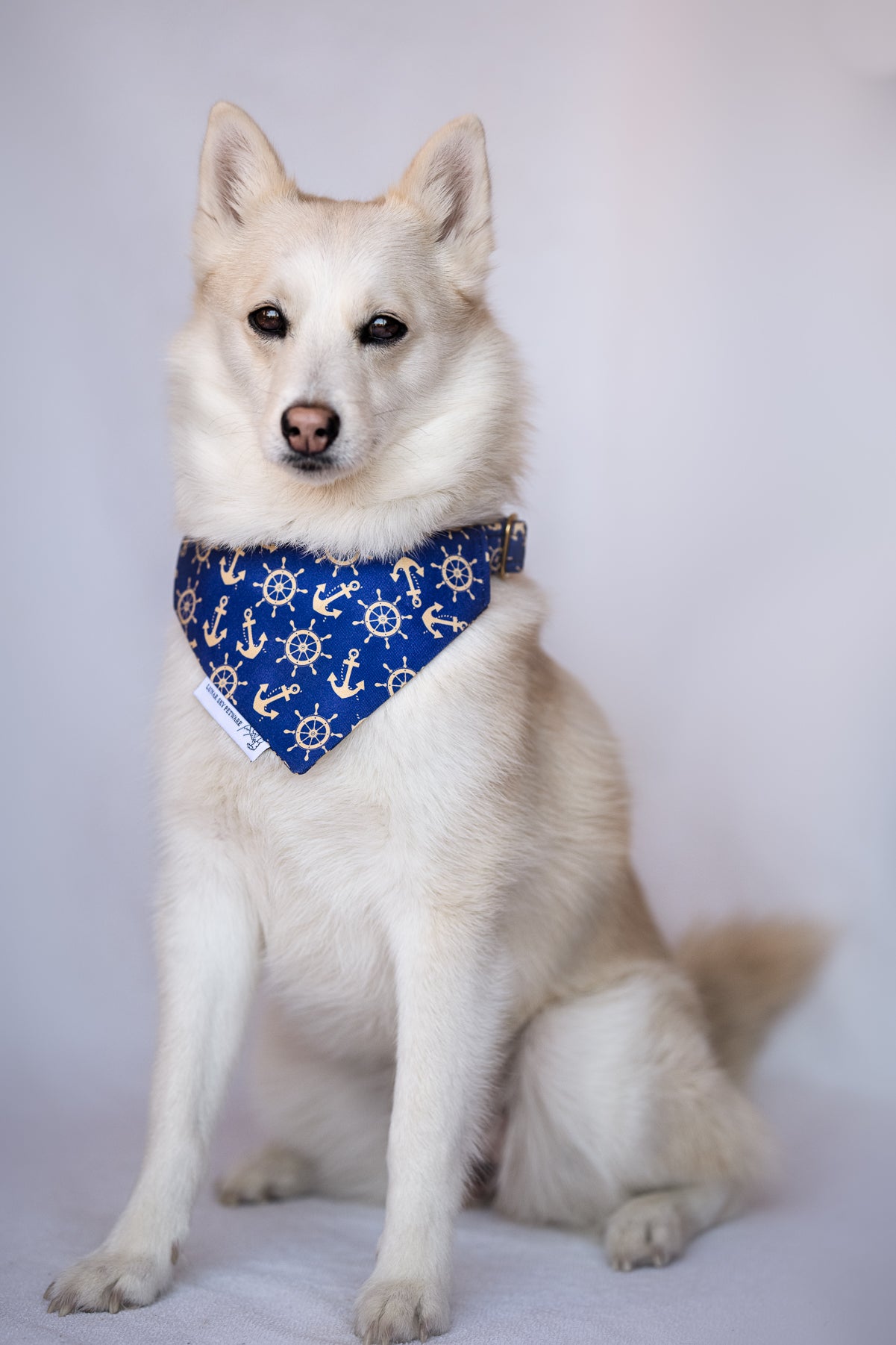 Nautical dog bandana hotsell