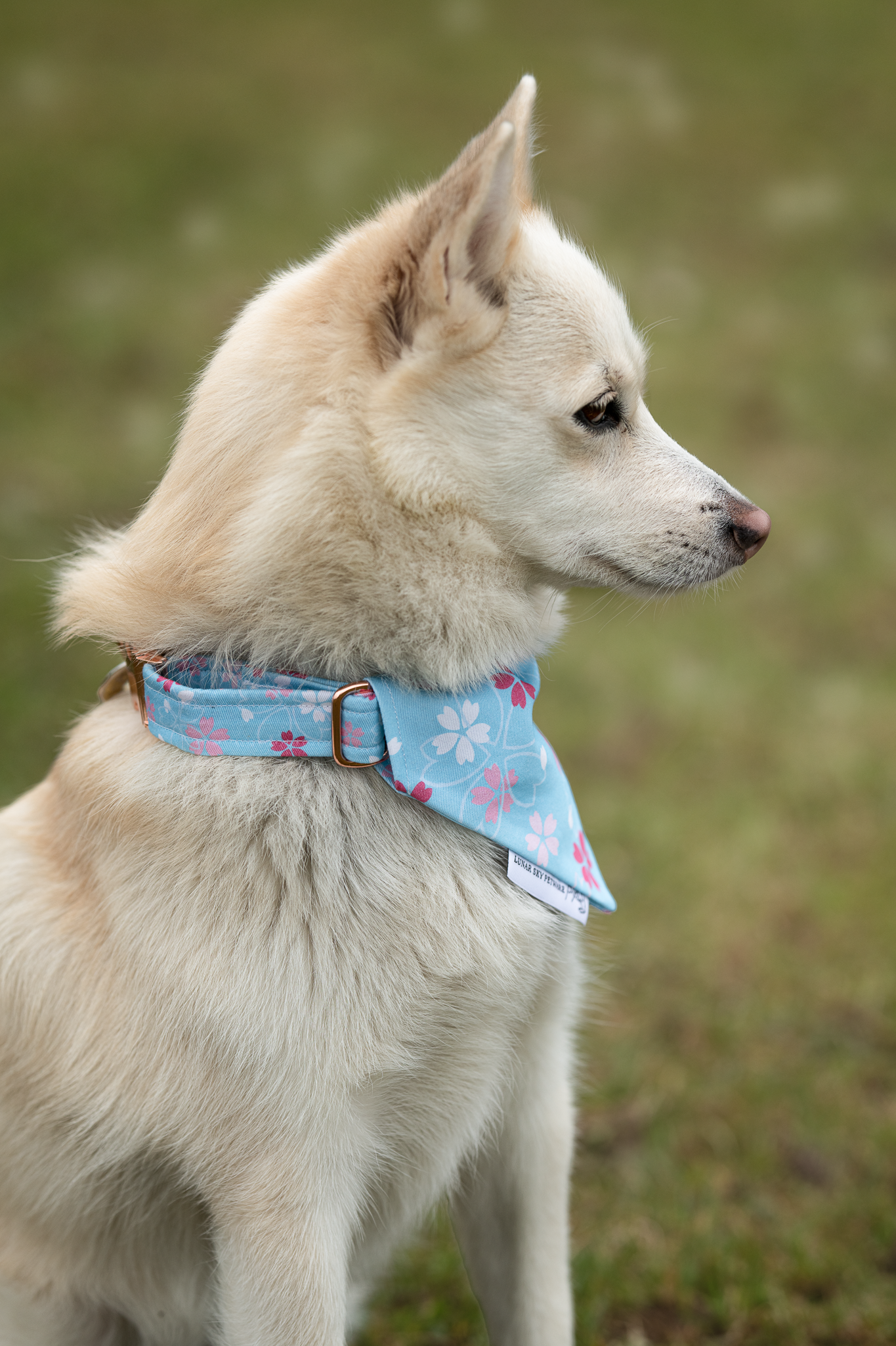 Bandana - Cherry Blossom