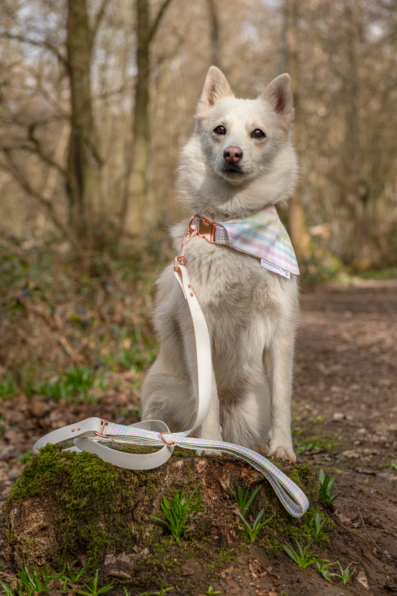 Bandana - Spring Picnic