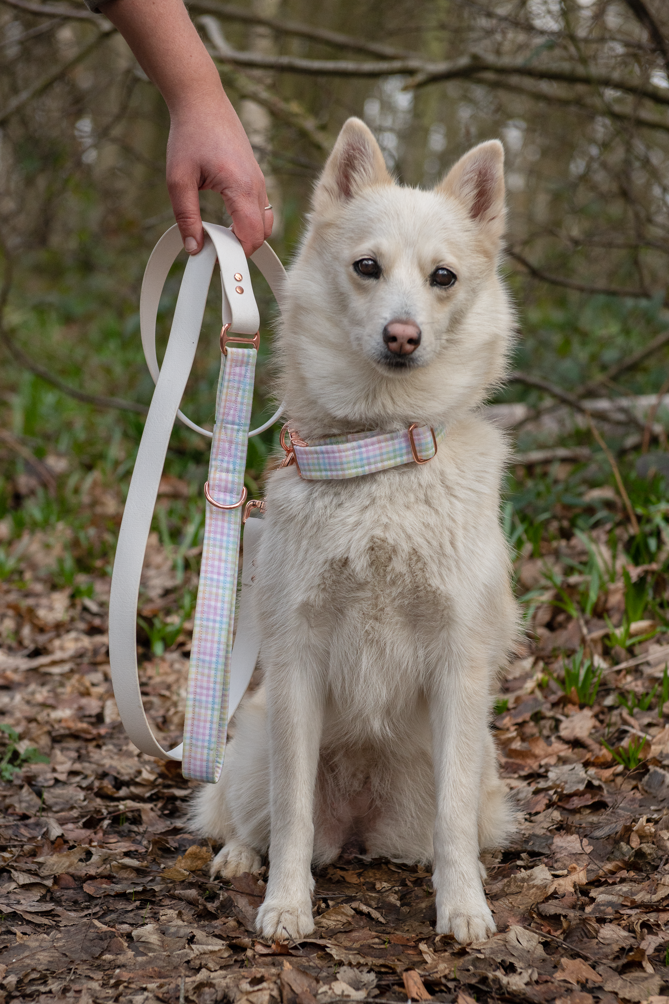 Collar - Spring Picnic