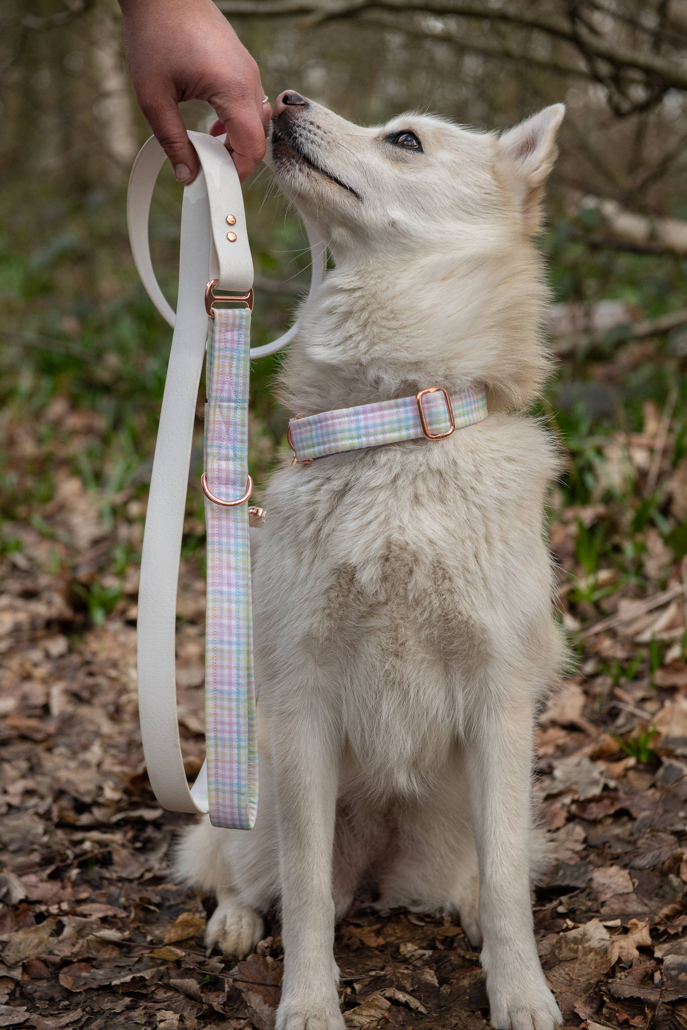 Collar - Spring Picnic